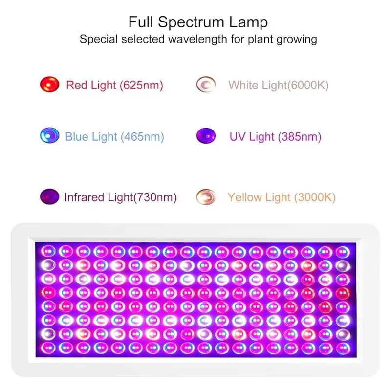 2026 Latest UV Light Box for S - đánh giá và giá Resin Curing Station